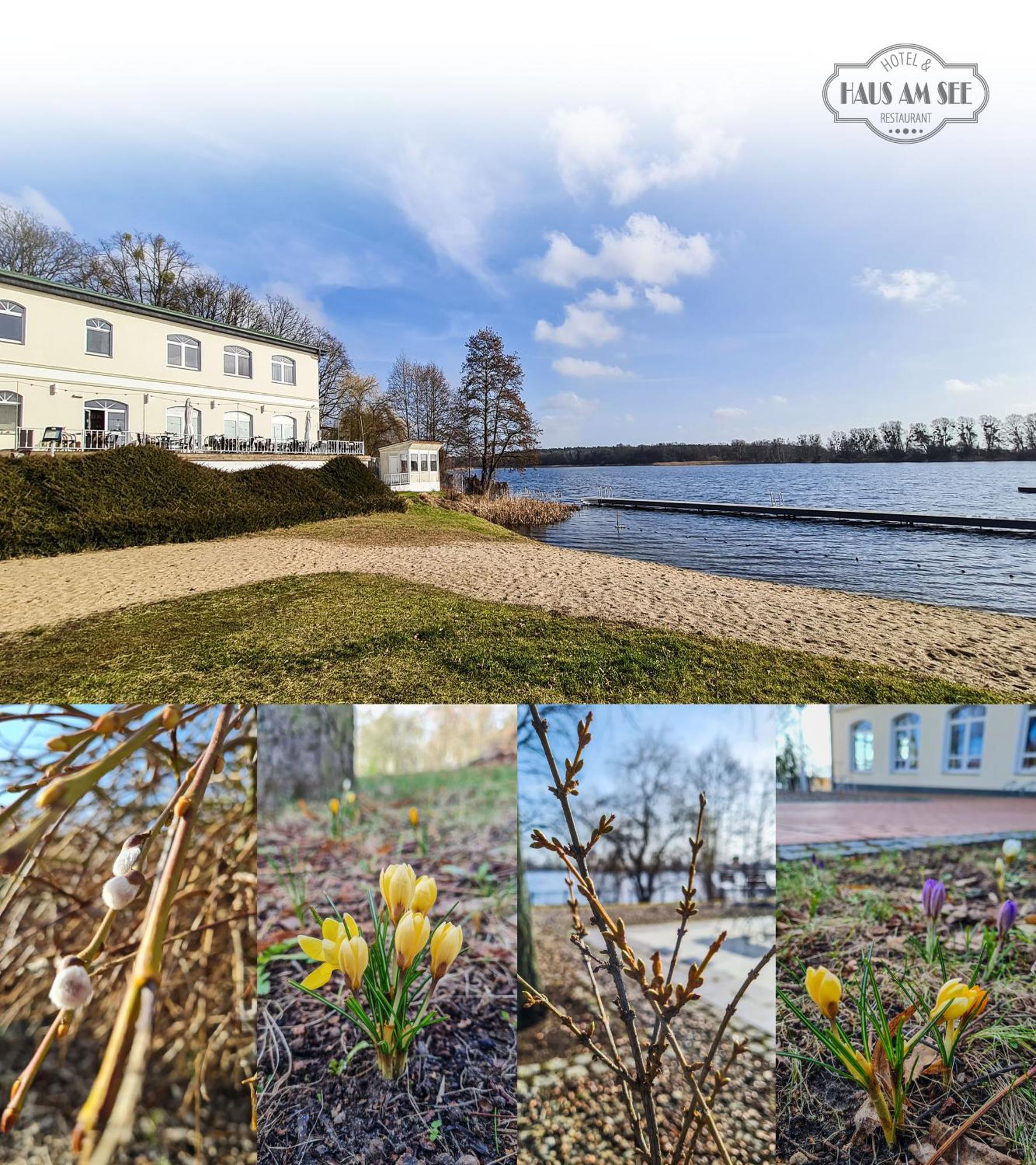 Hotel & Restaurant Haus Am See Locknitz Exteriér fotografie