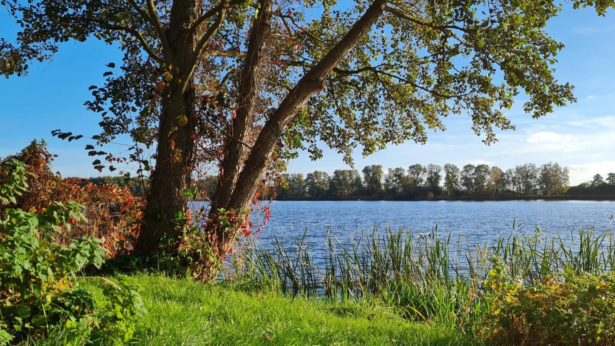 Hotel & Restaurant Haus Am See Locknitz Exteriér fotografie